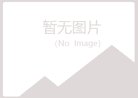 兴山区从蓉咨询有限公司